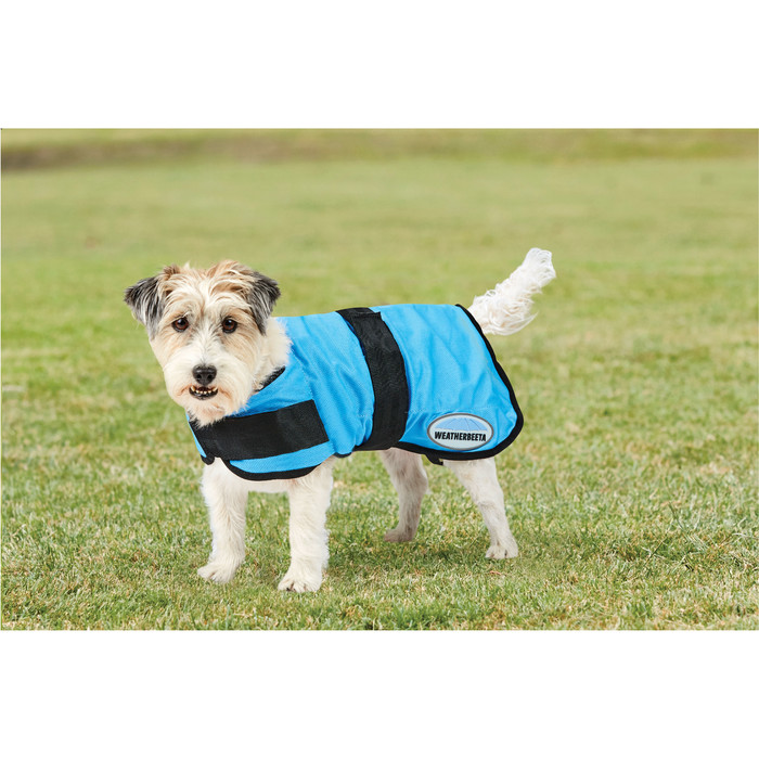 WeatherBeeta Therapy-Tec Cooling Dog Coat 10023070 - Blue